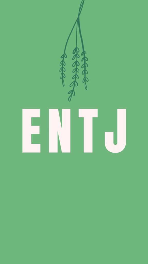 The Interesting Personality Of An Entj Commander Quest In The Interesting Personality Of An Entj Commander Quest In