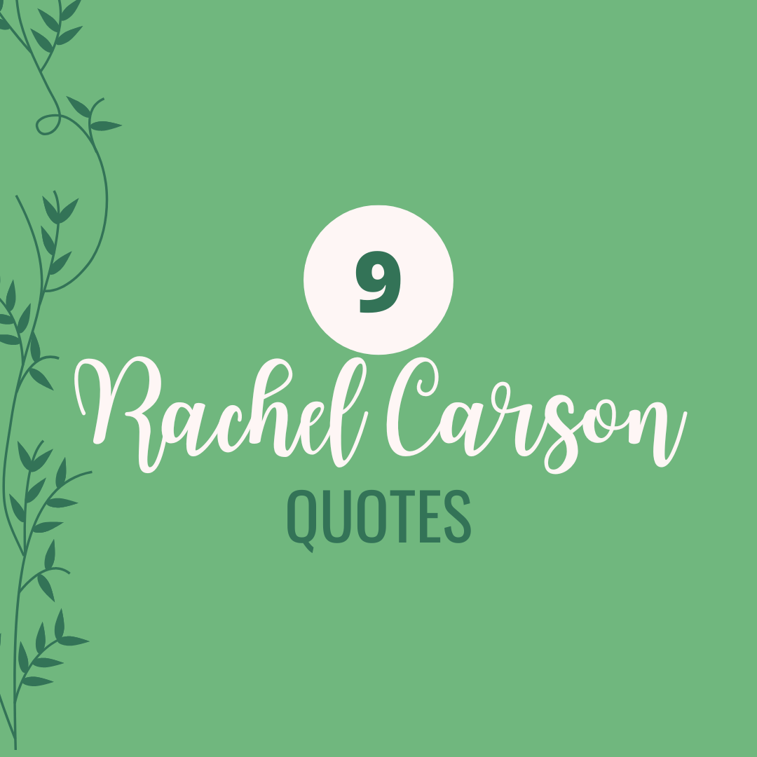 best-rachel-carson-silent-spring-quotes