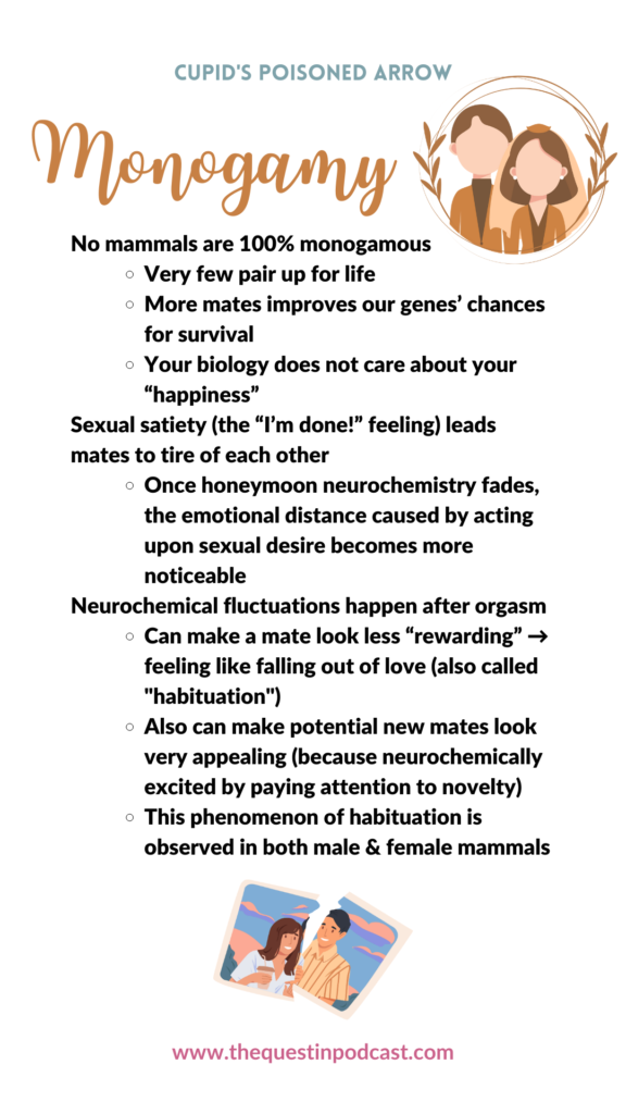 cupids-poisoned-arrow-summary-book-cpa-marnia-robinson-monogamy